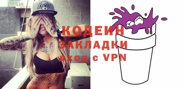 шишки Арсеньев
