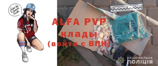 шишки Арсеньев