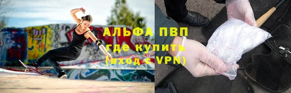 шишки Арсеньев