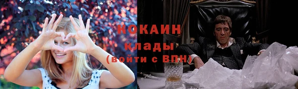 дживик Аркадак