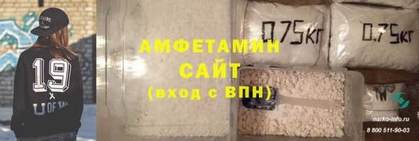 шишки Арсеньев