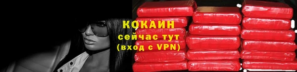дживик Аркадак