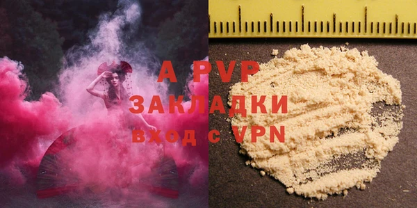 шишки Арсеньев