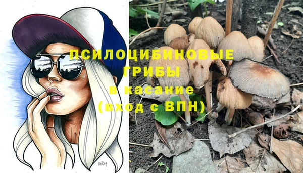 PSILOCYBIN Армянск