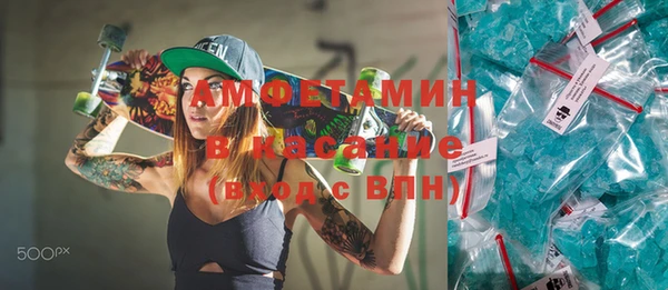 шишки Арсеньев