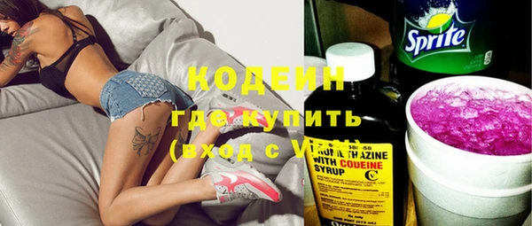 шишки Арсеньев