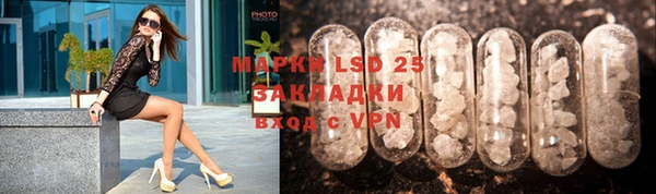 PSILOCYBIN Армянск