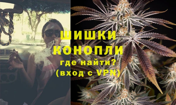 дживик Аркадак